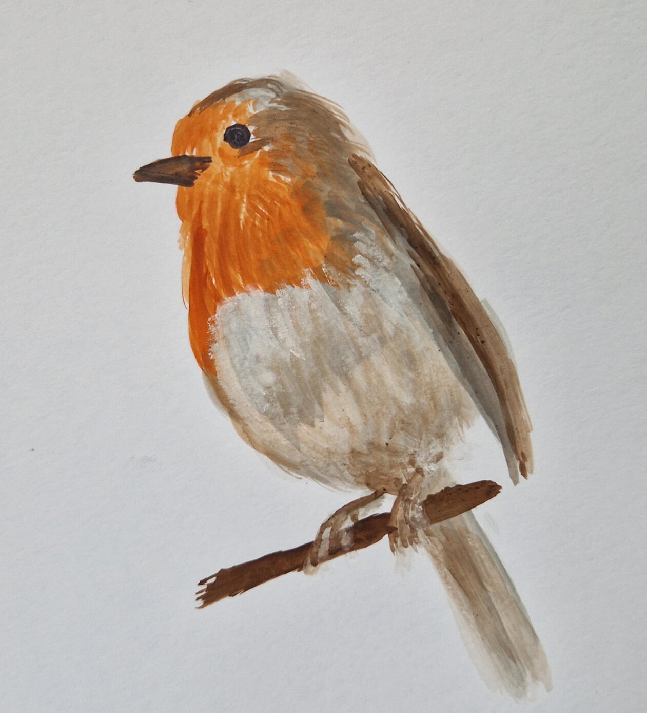 Daisy's favourite songbird